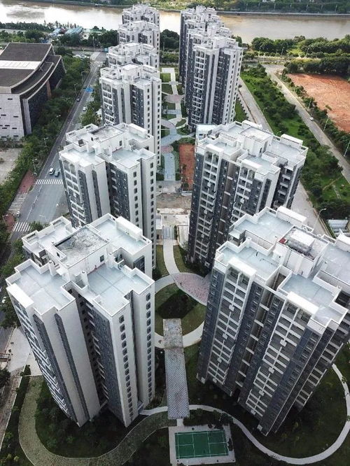 1800元观广州塔！商品房客厅改造公寓引热议，年轻人直呼“慕了”